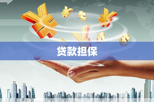 红原贷款担保