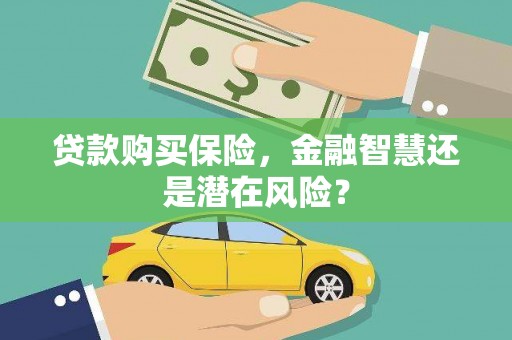 红原贷款购买保险，金融智慧还是潜在风险？