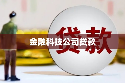红原金融科技公司贷款