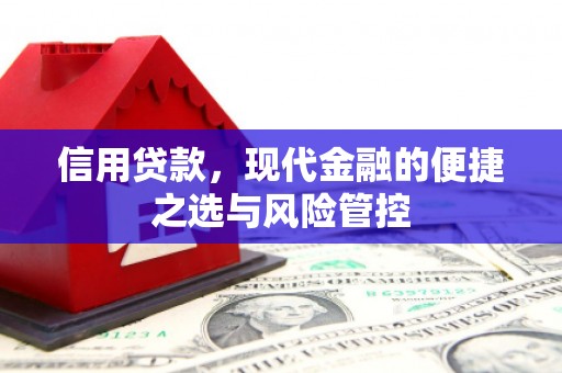红原信用贷款，现代金融的便捷之选与风险管控