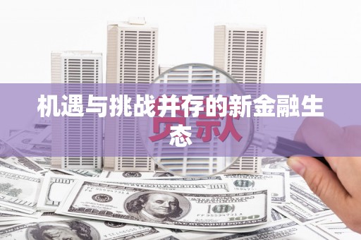 红原机遇与挑战并存的新金融生态