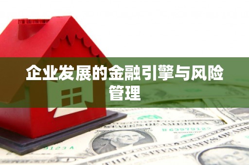 红原企业发展的金融引擎与风险管理