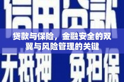 红原贷款与保险，金融安全的双翼与风险管理的关键