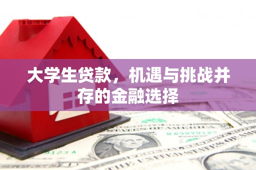 红原大学生贷款，机遇与挑战并存的金融选择