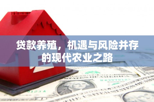 红原贷款养殖，机遇与风险并存的现代农业之路