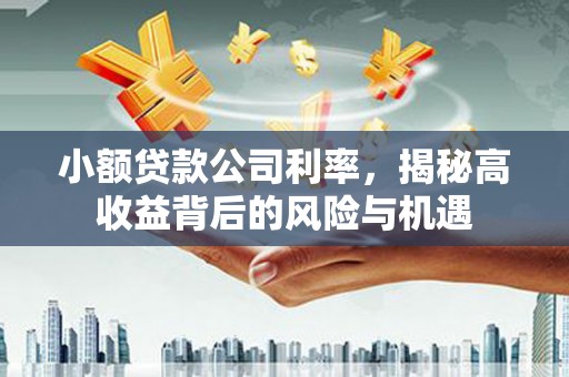 红原小额贷款公司利率，揭秘高收益背后的风险与机遇