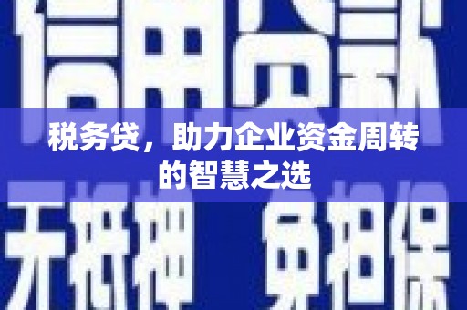 红原税务贷，助力企业资金周转的智慧之选