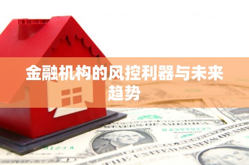 红原金融机构的风控利器与未来趋势