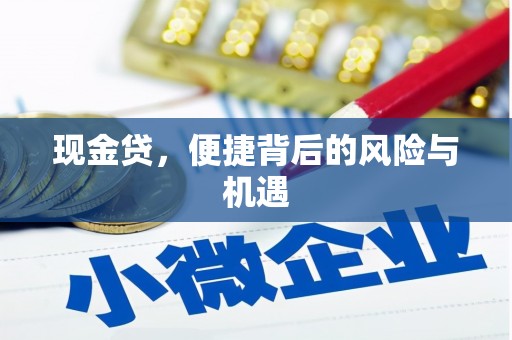 红原现金贷，便捷背后的风险与机遇