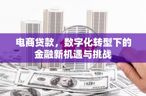 红原电商贷款，数字化转型下的金融新机遇与挑战