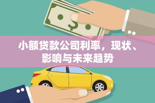 红原小额贷款公司利率，现状、影响与未来趋势