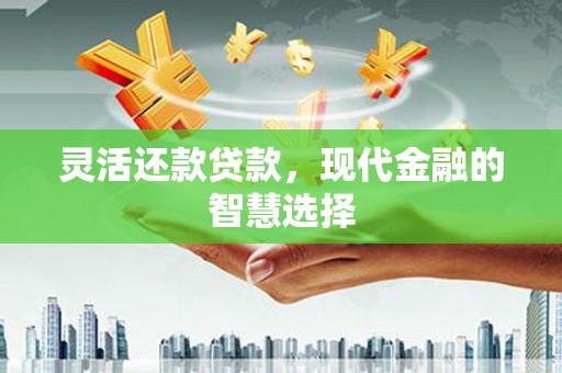 红原灵活还款贷款，现代金融的智慧选择