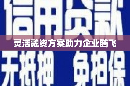 红原灵活融资方案助力企业腾飞