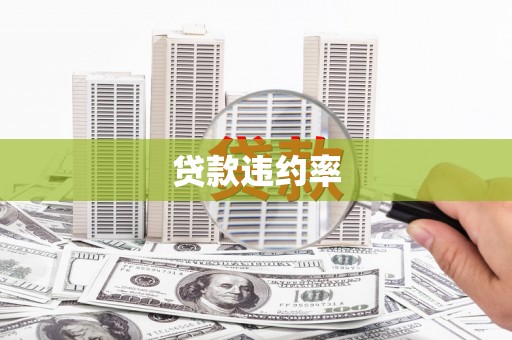 红原贷款违约率