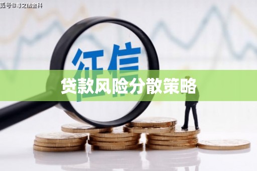红原贷款风险分散策略
