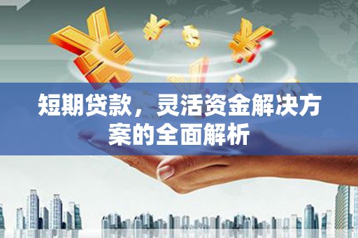 红原短期贷款，灵活资金解决方案的全面解析