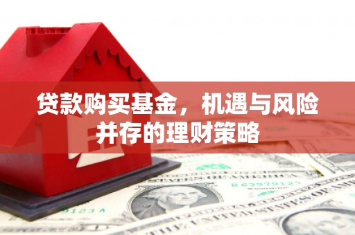 红原贷款购买基金，机遇与风险并存的理财策略