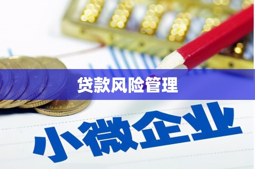 红原贷款风险管理