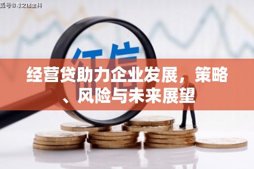 红原经营贷助力企业发展，策略、风险与未来展望
