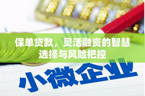 红原保单贷款，灵活融资的智慧选择与风险把控
