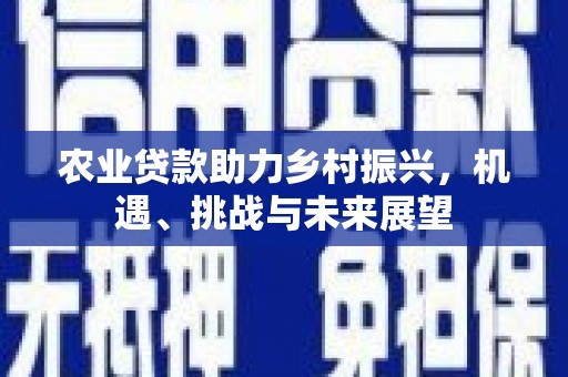 红原农业贷款助力乡村振兴，机遇、挑战与未来展望