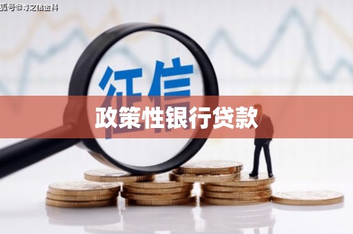 红原政策性银行贷款