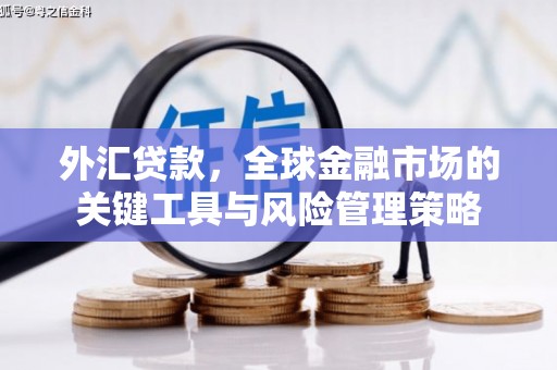 红原外汇贷款，全球金融市场的关键工具与风险管理策略