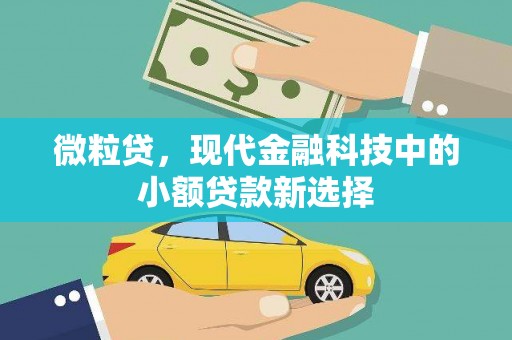 红原微粒贷，现代金融科技中的小额贷款新选择