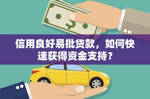 红原信用良好易批贷款，如何快速获得资金支持？