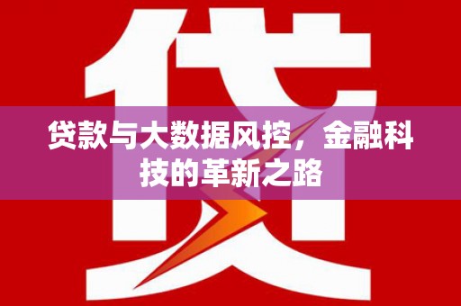 红原贷款与大数据风控，金融科技的革新之路