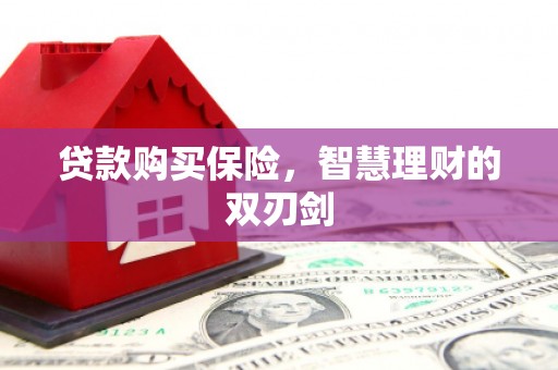 红原贷款购买保险，智慧理财的双刃剑