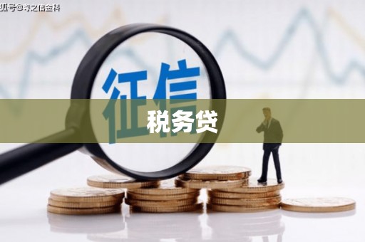 红原税务贷