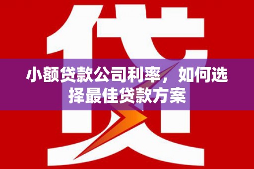 红原小额贷款公司利率，如何选择最佳贷款方案