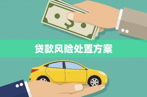 红原贷款风险处置方案