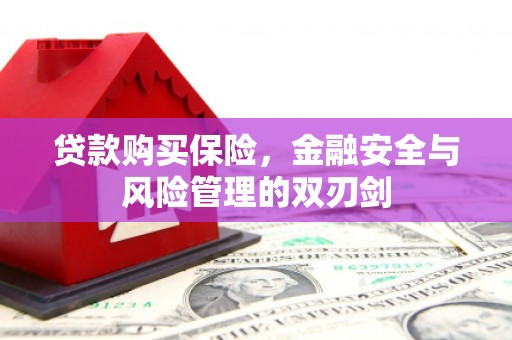 红原贷款购买保险，金融安全与风险管理的双刃剑