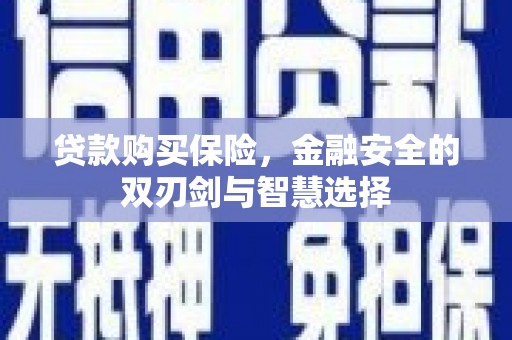 红原贷款购买保险，金融安全的双刃剑与智慧选择
