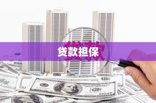 红原贷款担保