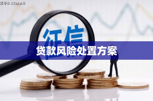 红原贷款风险处置方案
