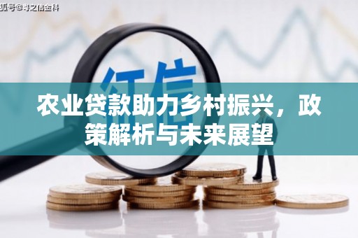 红原农业贷款助力乡村振兴，政策解析与未来展望