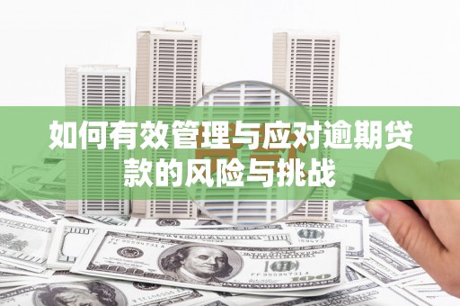 红原如何有效管理与应对逾期贷款的风险与挑战