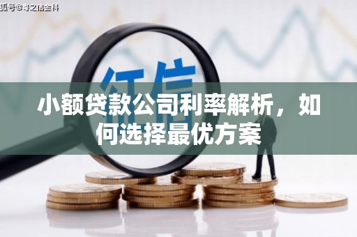红原小额贷款公司利率解析，如何选择最优方案