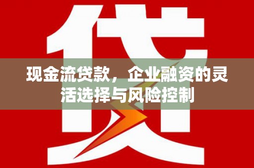 红原现金流贷款，企业融资的灵活选择与风险控制