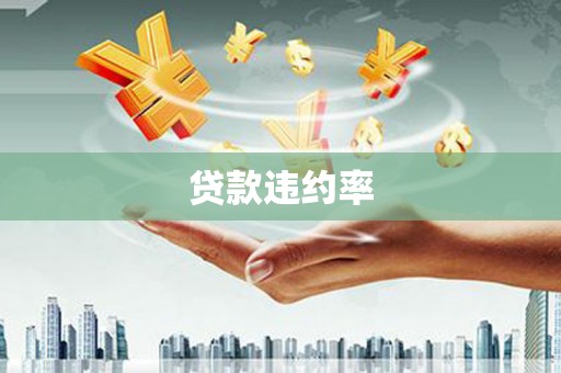 红原贷款违约率
