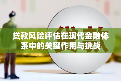 红原贷款风险评估在现代金融体系中的关键作用与挑战