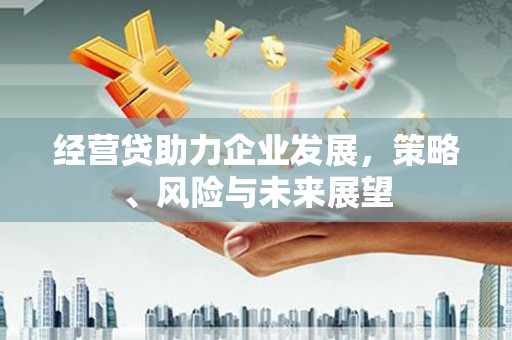 红原经营贷助力企业发展，策略、风险与未来展望