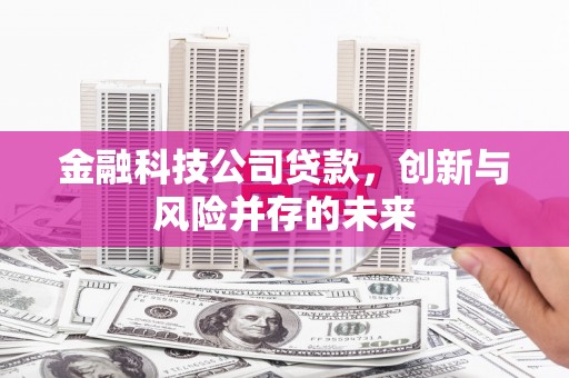 红原金融科技公司贷款，创新与风险并存的未来