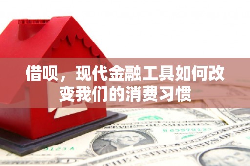 红原借呗，现代金融工具如何改变我们的消费习惯