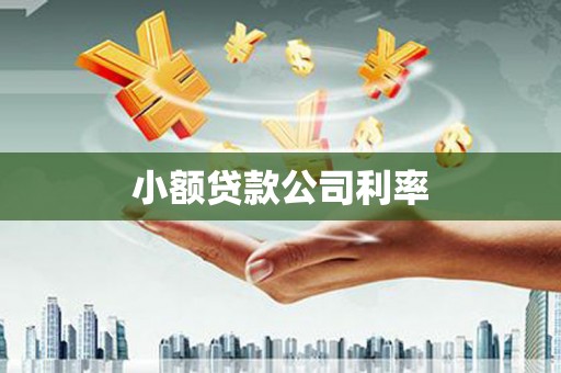 红原小额贷款公司利率