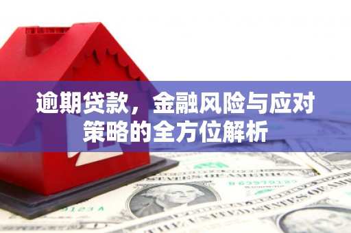 红原逾期贷款，金融风险与应对策略的全方位解析