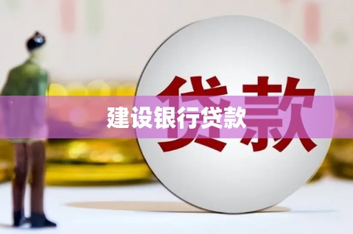 红原建设银行贷款
